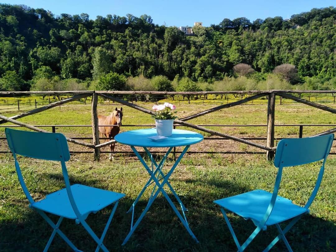 Tenuta Calidarius Baia  Dış mekan fotoğraf