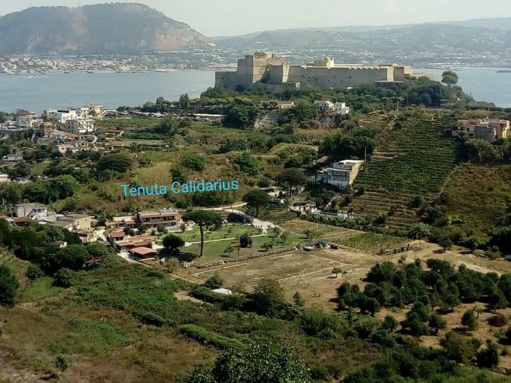 Tenuta Calidarius Baia  Dış mekan fotoğraf